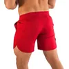 Gym Kleidung 2023 Sommer Mode männer Elastische Bund Strahl Linie Gürtel Casual Sport Shorts Kurze Sport Homme #08