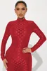 Vestidos casuales Sólido Plaid Sheer Mesh Vestido largo bodycon 2023 Otoño Mujeres Turtleneck Manga completa Slim Clubwear Maxi Evening Party Robe