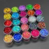 Poudres acryliques liquides 24 couleurs irisées Nail Art paillettes paillettes ensemble Net-5g holographique coloré brillant hexagone flocons paillettes pour ongles en bouteille 231024