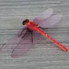 Wall Stickers Home Decor Fridge And 3D Dragonfly With Pin Or Magnetic Installation Method Decoration Accessories Random