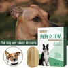 Hundkläder 2st/Set Pet Pet Ear Stand Up Stickers Correction Supplies Care Tools Bekväm effektiv