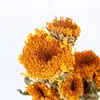 Vasen Sonnenblume Nordic Stil Ins Einfache Kleine Frische Wohnzimmer Dekoration Ornamente Trockenen Blumenstrauß