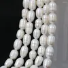 Pärlor 7-8mm naturligt sötvatten pärla vit lös ris distanssträng 15 tum för diy halsband armband kvinnor smycken som gör B1341