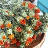 Vasos Ins Contratados Natural Laranja Abacaxi Flores Secas Buquê de Flores Secas Decoração de Sala de Estar Vermelho