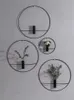 VASES NORDIC HYDROPONIC TSTUBE TUBE METAL WALL HANGING VASE VASE WALL DERON RIVINGROOM植物吊り先の家庭用家の装飾