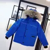 Kanada Dziecięce kurtki zima w dół parka homme jassen chaquetas wierzchołek wierzchołka futra z kapturem czteroosobowy manteau manteau manteau manteder kurtka kurtka