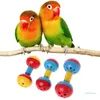 Altre forniture per uccelli Giocattoli con palla con campana sonora Plastica colorata per pappagalli di piccole e medie dimensioni