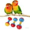 Other Bird Supplies Ball Toys With Sound Bell Colorful Plastics For Small Medium Parrots