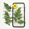 Decoratieve bloemen 60 stks 5-12 cm geperst gedroogde groene bladeren planten herbarium voor sieraden bladwijzer ansichtkaart telefoon geval uitnodigingskaart