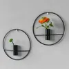 VASES NORDIC HYDROPONIC TSTUBE TUBE METAL WALL HANGING VASE VASE WALL DERON RIVINGROOM植物吊り先の家庭用家の装飾