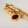 Referencja saksofonu alto SAS-54 antyczna miedziana E-Flat Profesjonalny instrument muzyczny z ustnikiem trzcinowym Statek bez szyi