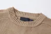 Пуловер с маленькой этикеткой, свитер в классическом стиле, весна-осень, модная теплая толстовка с капюшоном, женская унисекс, простая