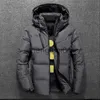 Parkas pour hommes hiver chaud hommes veste manteau décontracté automne col montant bouffant épais chapeau blanc canard Parka mâle hommes hiver doudoune avec capuche J231024