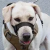 Obrogi dla psów straży usta wygodna lufia, aby zapobiec szczekaniu i gryząc małe średnie psy noszą do podróżowania Pography