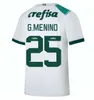 23 24 Palmeiras DUDU Soccer Jerseys 2024 Home green BRENO LOPES RONY G.GOMEZ Shirt Away D.Barbosa LUCAS foot LIMA G.MENINO MINA G.VERON kids kit football uniforms Short