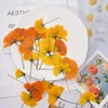 Decorative Flowers 60pcs Side Pressed Dried Cosmos Sulphureus Cav. Flower Stalk Plant Herbarium For Jewelry Postcard Phone Case Bookmark