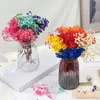 Fleurs décoratives 10 bouquet de mini fleurs séchées naturelles haleine de bébé bouquet frais conservé décor pographie po fond mariage