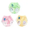 Hundklädflicka Sanitära trosor fysiologiska byxor Petperiod Jumpsuits Female Diaper Pantie Wash-kapabla shorts för valp