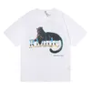 Erkekler Giyim 22ss Rhude Panther Leopar Baskı Modaya Düzenli High Street Gevşek Erkekler ve Erkekler Çift Ins Kısa Kollu T-Shirt