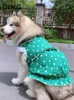 Vêtements de chien OIMG Summer Green Pet Robe Love Print Jupe pour grand Golden Retriever Alaskan Labrador sans manches dentelle chiens vêtements de famille