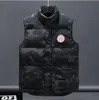 Canada USA hiver extérieur popularité hommes bas gilets de luxe bodywarmer vestes de mode femmes gilet designer manteau mâle doudoune luxe oie veste homme manteau aller