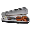 4/4 3/4 1/2 1/8 Duurzame Akoestische Viool Kleur Natuurlijk/Zwart Fiddle voor Viool Beginner met Case Bow Rosin