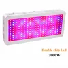 Cultivez des lumières 2000W Double Chips LED Spectre FL 410-730Nm pour les plantes d'intérieur et la phrase de fleur avec une baisse de rendement très élevée livrer Dhnjv