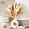 Decorações de Natal Natural Flor Seca Pampas Grama Bouquet Home Outono Decoração de Natal Arranjo Festa de Casamento Decoração Flores Artificiais 231023