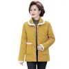 Dames trenchcoats 2023 net rood herfst en winter pluche zacht klein jasje jonge kleding bont