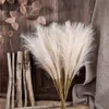 Bouquet de fleurs d'herbe de Pampas artificielles, pour la maison, décoration de mariage, bricolage, fête, chambre à coucher, fausse plante, Vase de fleurs, roseau GC2411