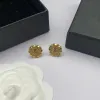 Designer Silverörhängen Stud Luxury Jewelry Diamonds Earings Present For Women Hoop Earrings Stud Golden Earring Gift Bijoux De Luxe 2310242d