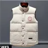 Canada USA hiver extérieur popularité hommes bas gilets de luxe bodywarmer vestes de mode femmes gilet designer manteau mâle doudoune luxe oie veste homme manteau aller