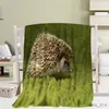 Couvertures motif flanelle couverture douce et chaude canapé-lit décor couverture enfants voyage Camping cadeaux couverture taille Animal