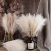 Fengmuyu Reed Pampas Imitationフラワーホームデコレーションウェディング卸売人工花