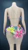 Stage Wear Sexy Colorful Big Flowers Transparent Bikini Dress Women Dancer Show Stretch Costume Outfit Evening Prom Party