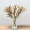 Decoratieve bloemen 85 STUKS Pampa Boeket Natuurlijke Gedroogde Bloem Boho Home Decor Voor Bruiloft Centerpieces Tafels Pampas Gras Decoratie