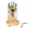 Nachtlichter, USB-Plug-in, Sonnenblumen-Glaslampen, Kunsthandwerk, handgefertigte getrocknete Blumen in Kuppellicht, Mikro-Landschaftsdekoration für Hochzeitsbankett