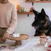 Collari per cani Supporto per naso da addestramento Strumento per profumo Custodia per annusare gli odori Accessorio per animali domestici e