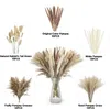 Decoratieve bloemen 85 STUKS Pampa Boeket Natuurlijke Gedroogde Bloem Boho Home Decor Voor Bruiloft Centerpieces Tafels Pampas Gras Decoratie