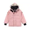 Australie Canada Doudoune Hommes Hiver Chaud Manteaux Femmes Manteau Doudounes Coupe-Vent Broderie Lettres Streetwear Causal Hip Hop Vêtements D'extérieur Parkas