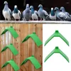 Inne zaopatrzenie ptaków 10 szt. Plastikowy gołąb v grzbiet ramy zielone gołębie spoczynkowe stoisko dla domów Wspornikowe akcesoria w klatce