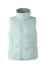 Gilet uomo donna top giacche moda Colletto alla coreana top Felpa Autentico marchio di lusso gilet piuma materiale cappotto sciolto Cappotto di tendenza moda taglia 1-5 verde rosa