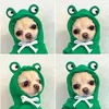Köpek Giyim Hoodie Basic Sweater Ceket Sevimli Cosplay Frog Sıcak Kış Ceket Kedi Soğuk Hava Kıyafetleri Kıyafet Dış Giyim Cadılar Bayramı