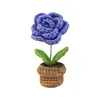 Fleurs décoratives Mini en pot fleur artificielle bureau cadeau fait à la main Crochet ornement voiture salon doux décor à la maison tricoté réaliste