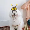 Köpek Giyim Arı Şapka Evcil Hayvan Kostümü Küçük Cadılar Bayramı Şık Giysileri Kedi Köpekler için Büyük Cosplay Kıyafetleri
