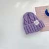 Berets outono inverno carta rotulagem simples cor sólida malha beanie chapéu engrossar quente mohair torção de alta qualidade boné feminino masculino