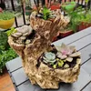 Planteurs Pots Retro Tree Root Shape Planteur Ensemble de grande taille Fleur succulente 3PCS / Set Vase Garden Arts Craft Ornaments Pot 231025