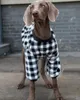 犬のアパレルビッグドッグフーディーコート大きなペット服冬犬コスチュームアパレルプードルシュナウザーコーギハスキーラブラドールゴールデンレトリバー衣服231023