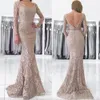 Vintage Grey Mother Of The Bride Dresses Mermaid Full Lace Plus Size Dress With Sleeves Sexy Backless Wedding Guest Formal Gowns