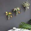 Pots de fleurs Vase de plantes suspendu au mur créatif avec support de cadre de feuille de Ginkgo en métal tube à essai en verre géométrique jardinières hydroponiques Terrarium Hom 231025